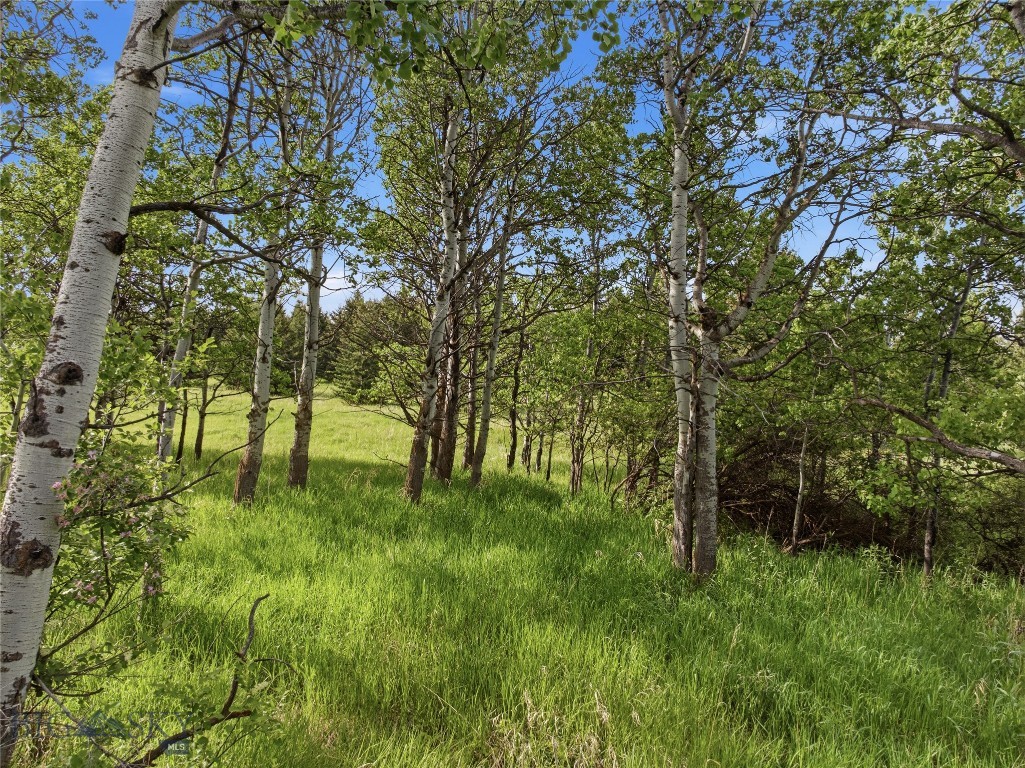 TBD E Panorama Drive, Bozeman MT 59715