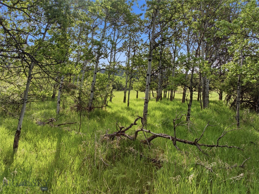 TBD E Panorama Drive, Bozeman MT 59715