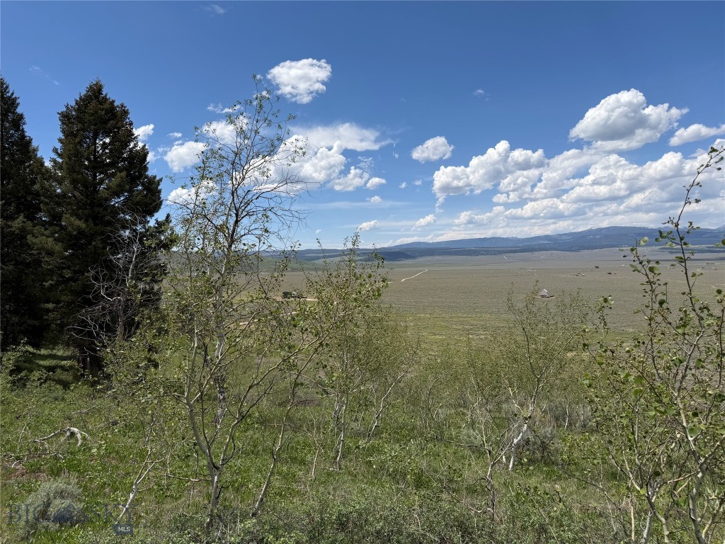 Parcel 2 & 4A Continental Divide RD, Cameron MT 59720