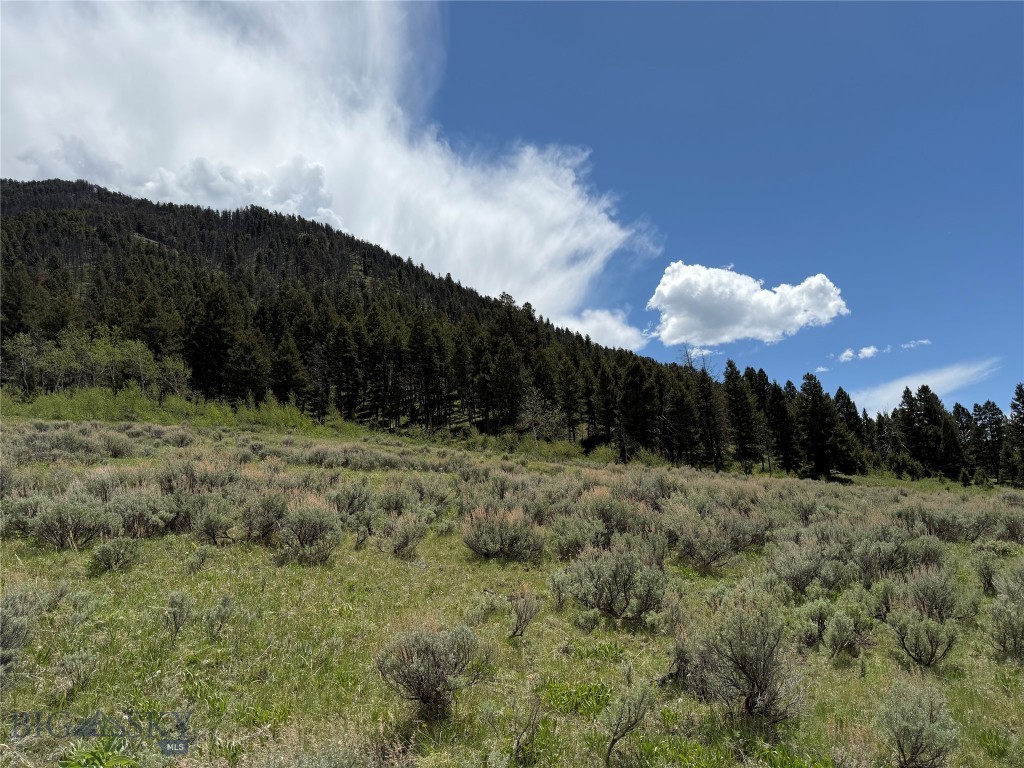 Parcel 2 & 4A Continental Divide RD, Cameron MT 59720