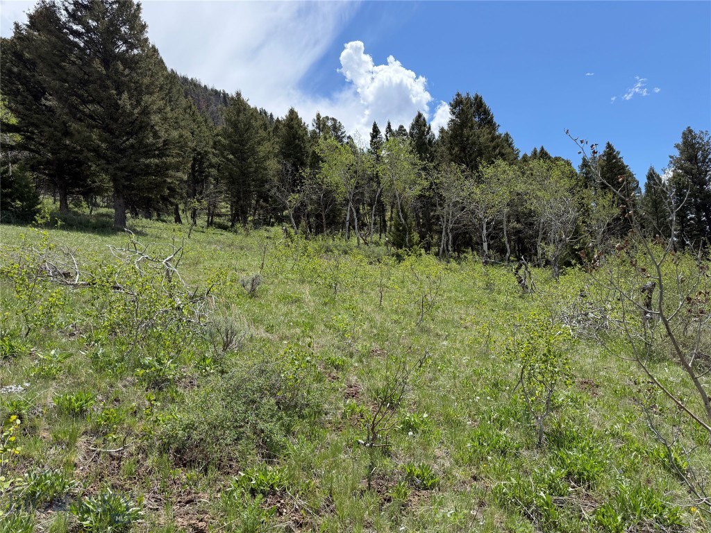 Parcel 2 & 4A Continental Divide RD, Cameron MT 59720