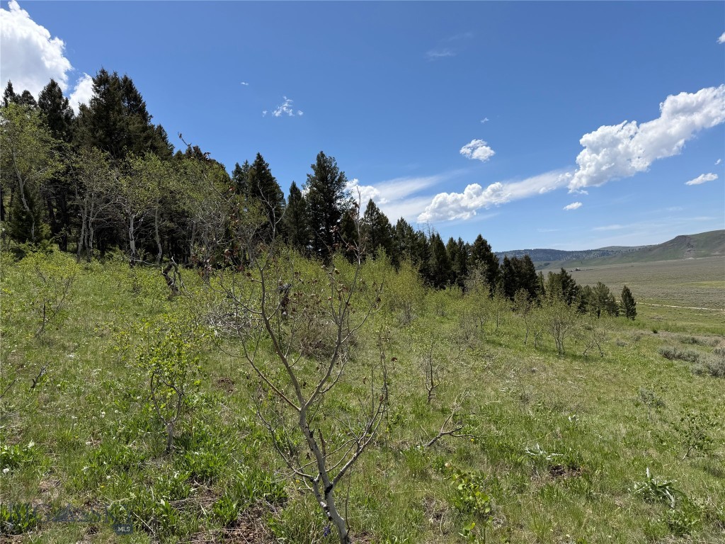 Parcel 2 & 4A Continental Divide RD, Cameron MT 59720