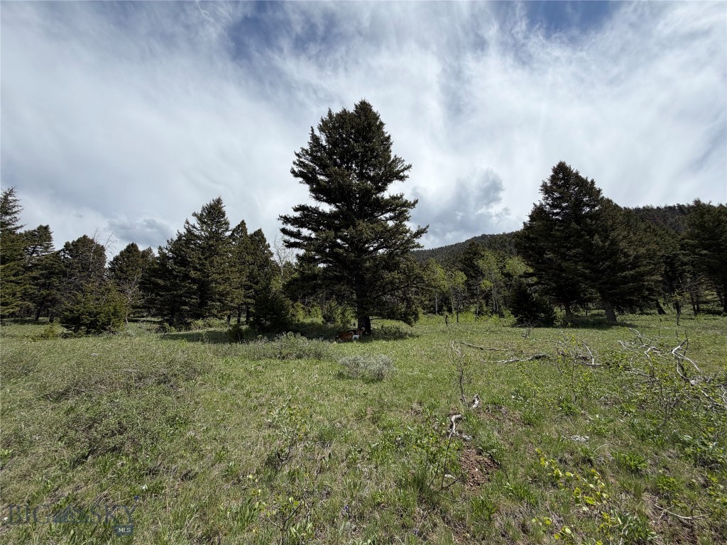 Parcel 2 & 4A Continental Divide RD, Cameron MT 59720