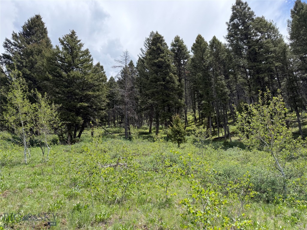 Parcel 2 & 4A Continental Divide RD, Cameron MT 59720