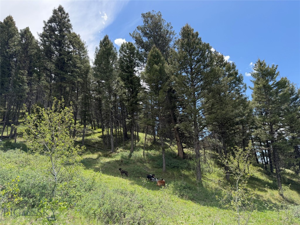 Parcel 2 & 4A Continental Divide RD, Cameron MT 59720