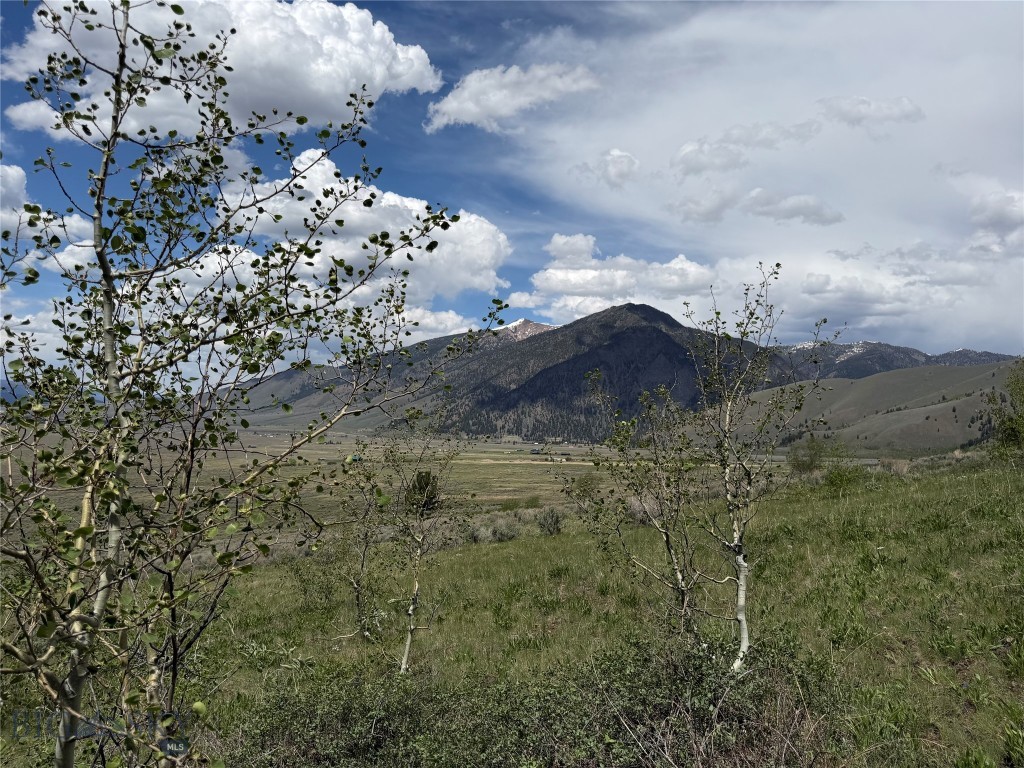 Parcel 2 & 4A Continental Divide RD, Cameron MT 59720