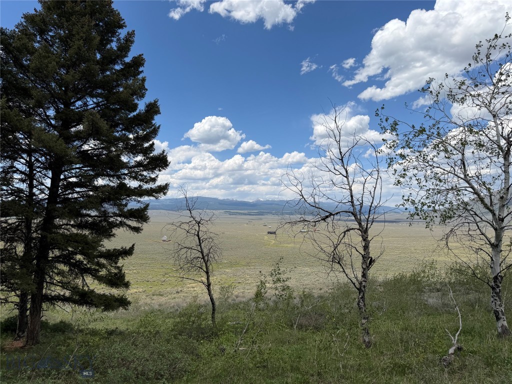 Parcel 2 & 4A Continental Divide RD, Cameron MT 59720