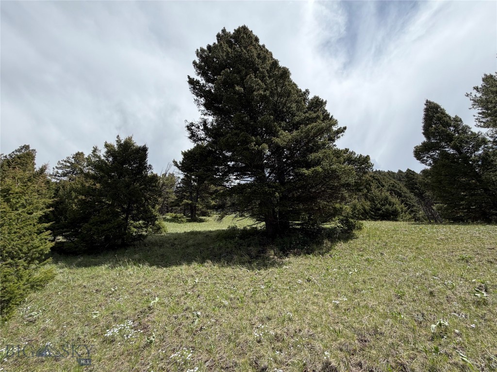 Parcel 2 & 4A Continental Divide RD, Cameron MT 59720