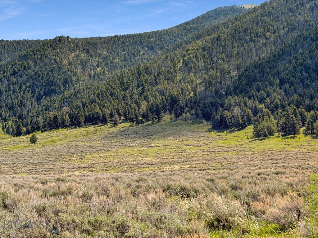 Parcel 2 & 4A Continental Divide RD, Cameron MT 59720