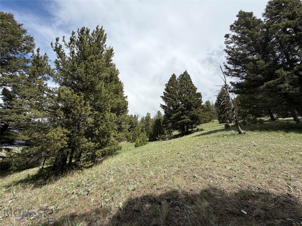 Parcel 2 & 4A Continental Divide RD, Cameron MT 59720