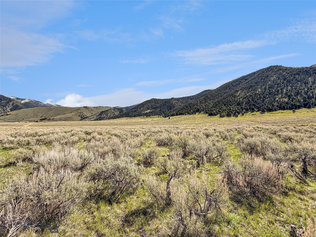 Parcel 2 & 4A Continental Divide RD, Cameron MT 59720