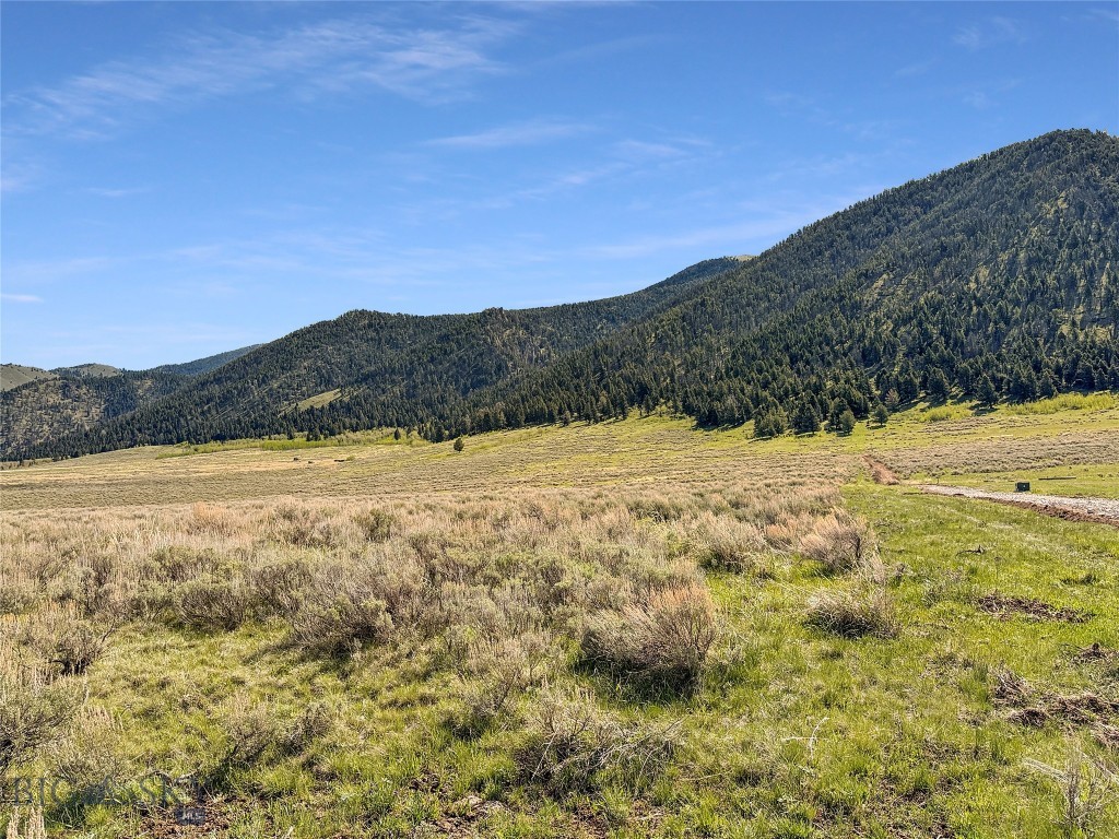 Parcel 2 & 4A Continental Divide RD, Cameron MT 59720