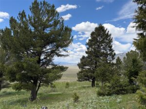 Parcel 2 & 4A Continental Divide RD
