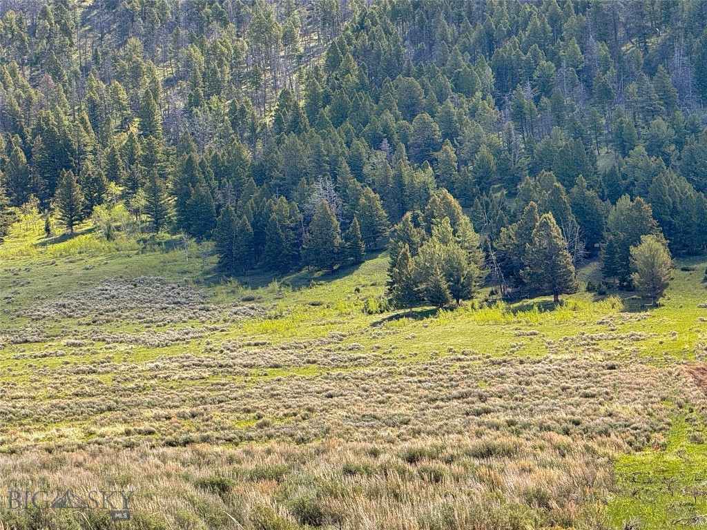 Parcel 2 & 4A Continental Divide RD, Cameron MT 59720