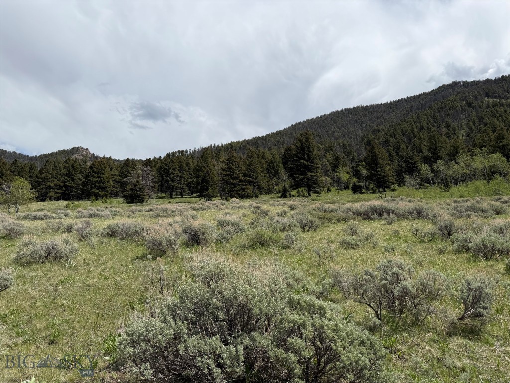 Parcel 2 & 4A Continental Divide RD, Cameron MT 59720