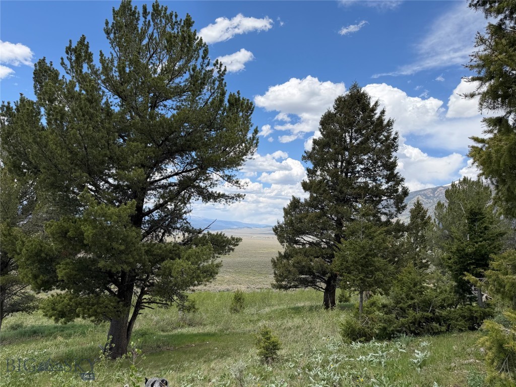 Parcel 2 & 4A Continental Divide RD, Cameron MT 59720