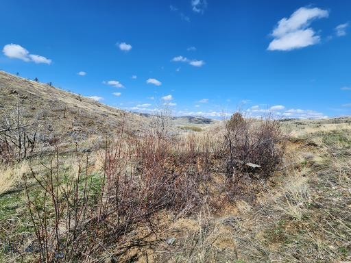 TBD – Parcel 2 Bradley Creek Rd, Norris MT 59745