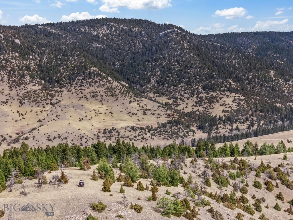 NHN (Parcel A-2) Suce Creek Road, Livingston MT 59047