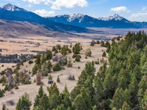 NHN (Parcel A-2) Suce Creek Road