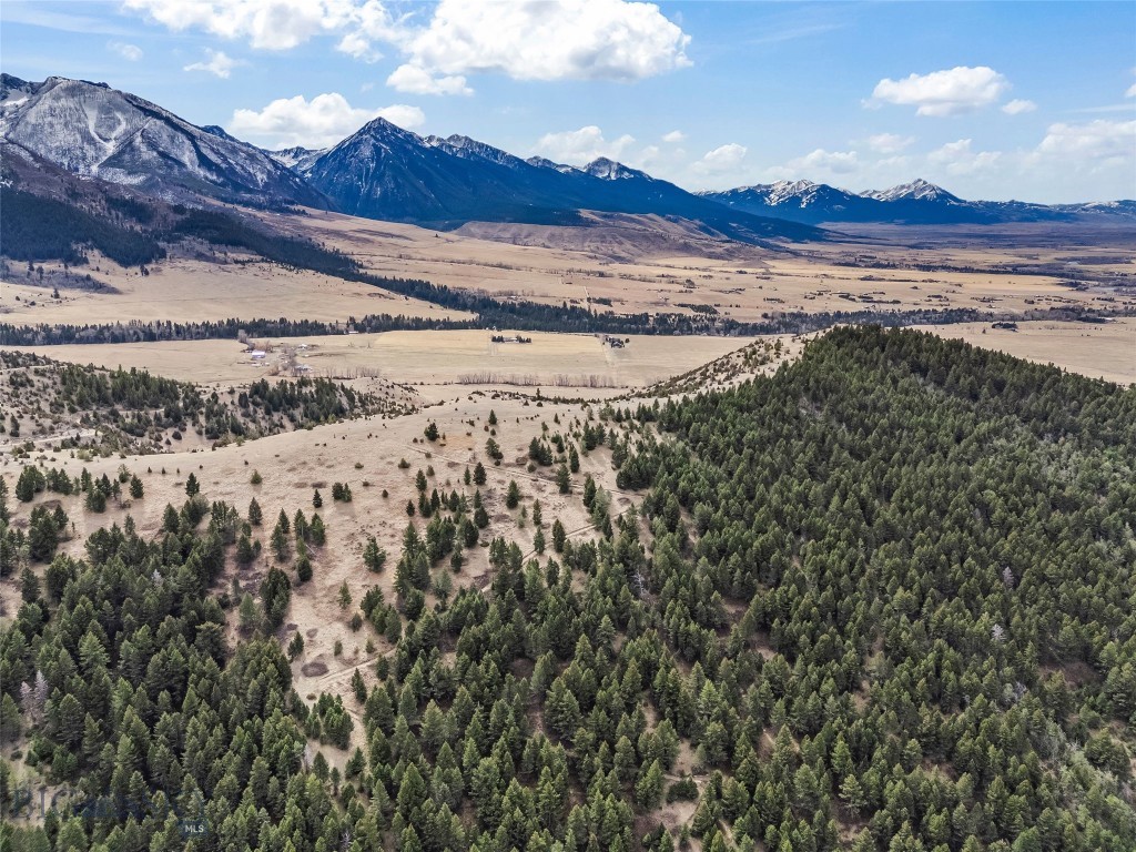 NHN (Parcel A-2) Suce Creek Road, Livingston MT 59047