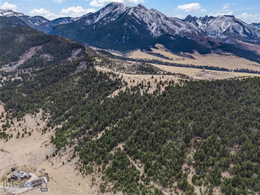 NHN (Parcel A-2) Suce Creek Road, Livingston MT 59047