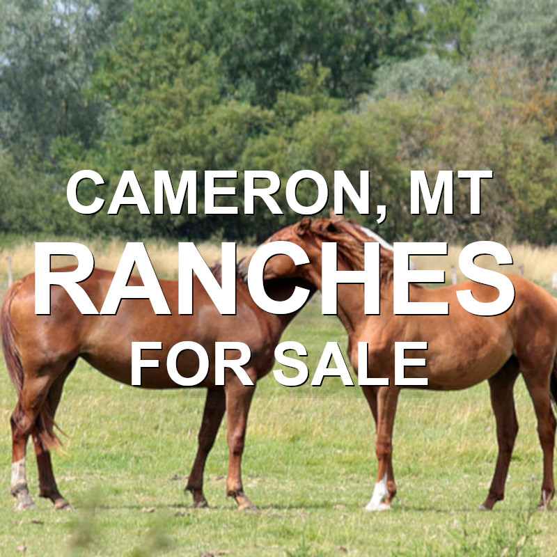 Cameron Ranches For Sale DELGER REAL ESTATE MONTANA RANCHES