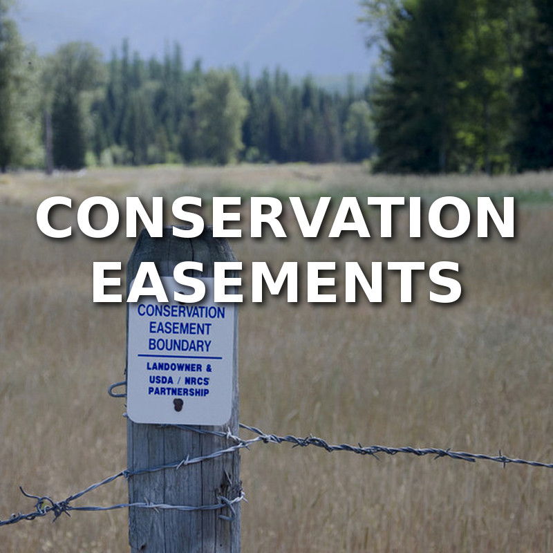 conservation-easements-delger-real-estate-montana-ranches