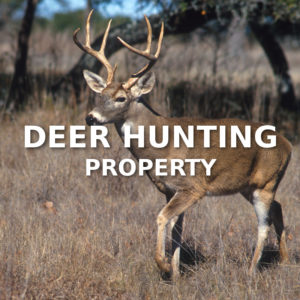 Deer Hunting Property