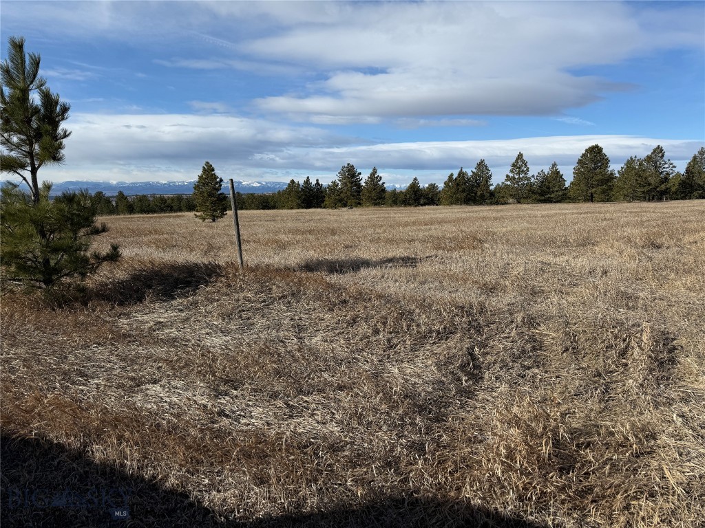 , Reed Point MT 59069