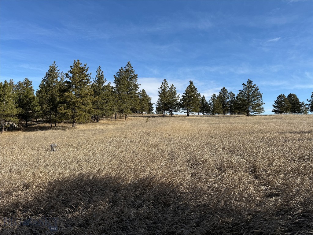 , Reed Point MT 59069