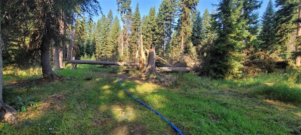 , Seeley Lake MT 59868