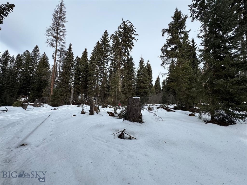 , Seeley Lake MT 59868