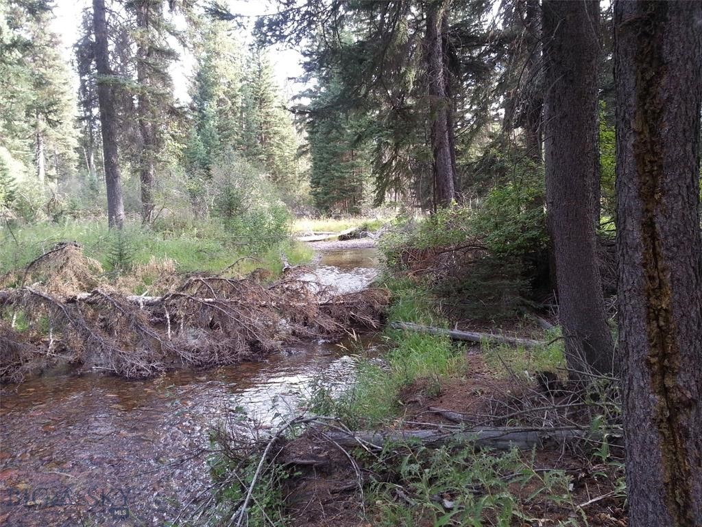 , Seeley Lake MT 59868