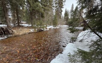 , Seeley Lake MT 59868