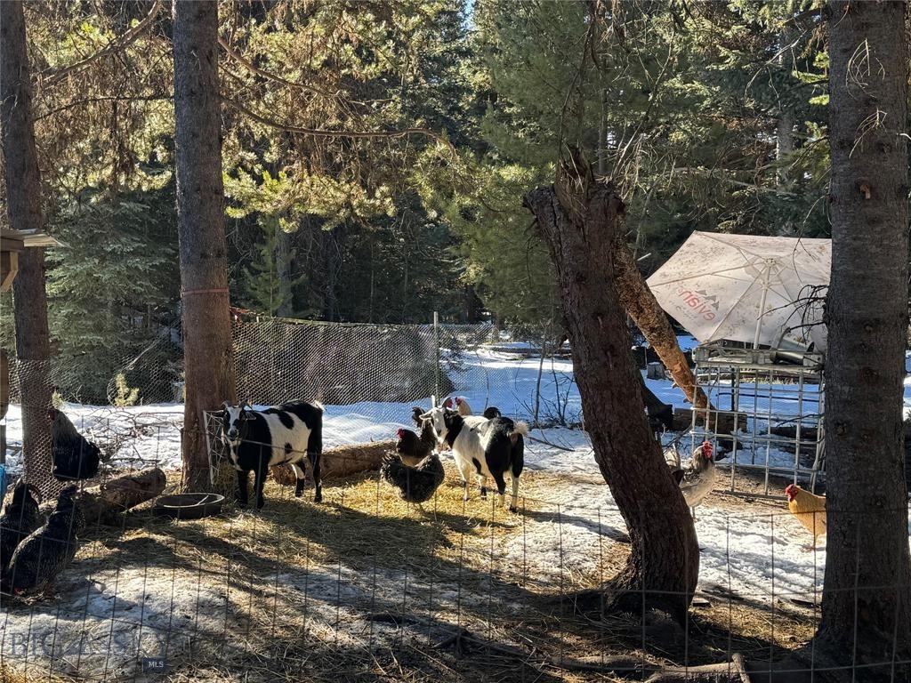 , Seeley Lake MT 59868