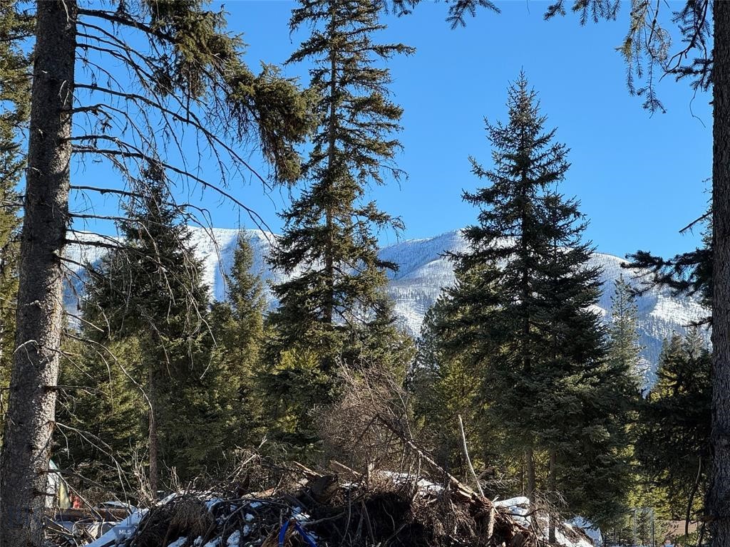 , Seeley Lake MT 59868