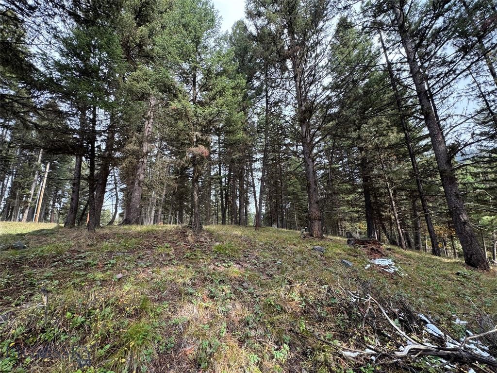 , Seeley Lake MT 59868