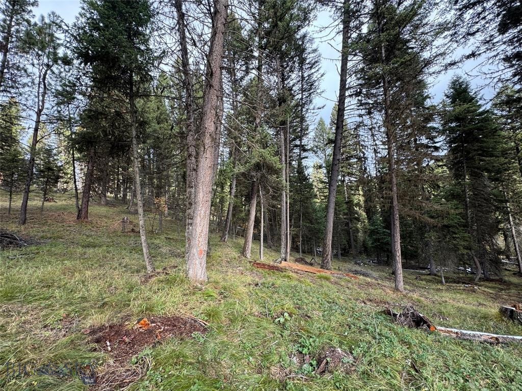 , Seeley Lake MT 59868