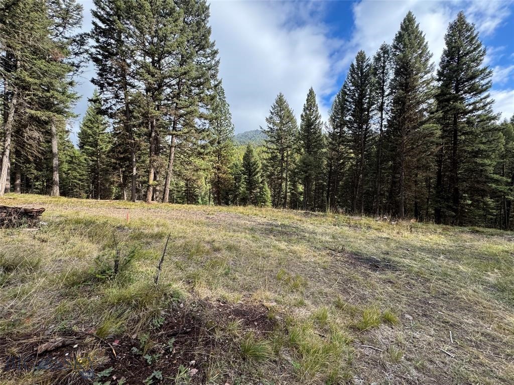 , Seeley Lake MT 59868