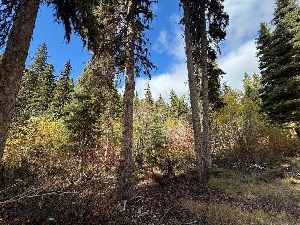 , Seeley Lake MT 59868