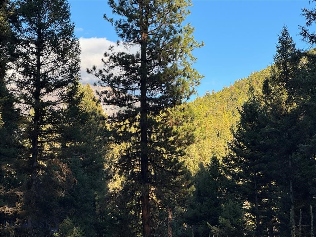 , Seeley Lake MT 59868