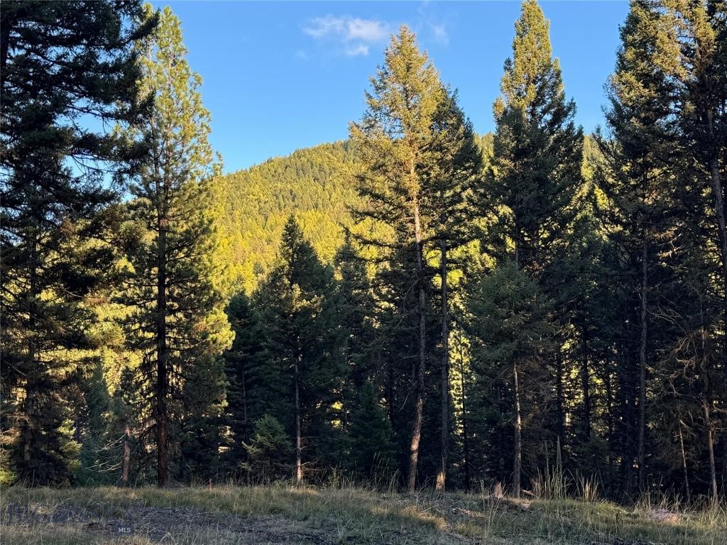 , Seeley Lake MT 59868