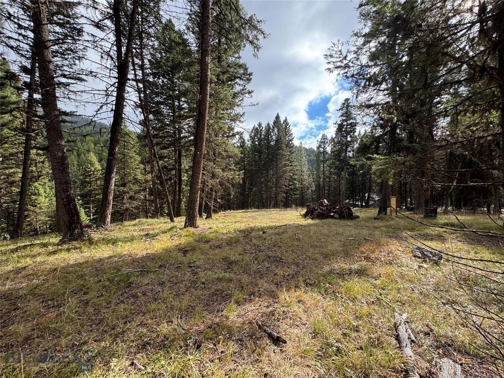 , Seeley Lake MT 59868