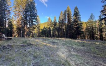 , Seeley Lake MT 59868