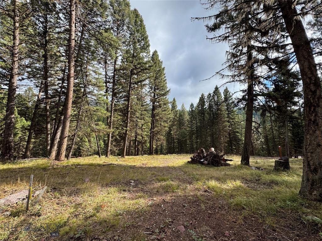 , Seeley Lake MT 59868