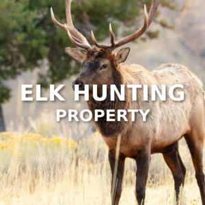 Elk Hunting Property