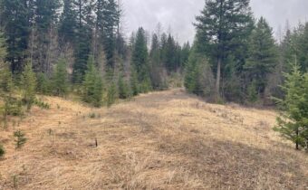 NHN Bent Pine Lane, Kila MT 59920