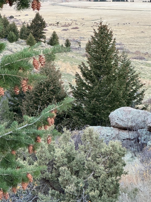 TBD Heritage Trail, Livingston MT 59047