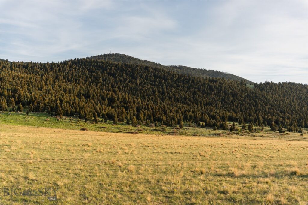TBD Heritage Trail, Livingston MT 59047