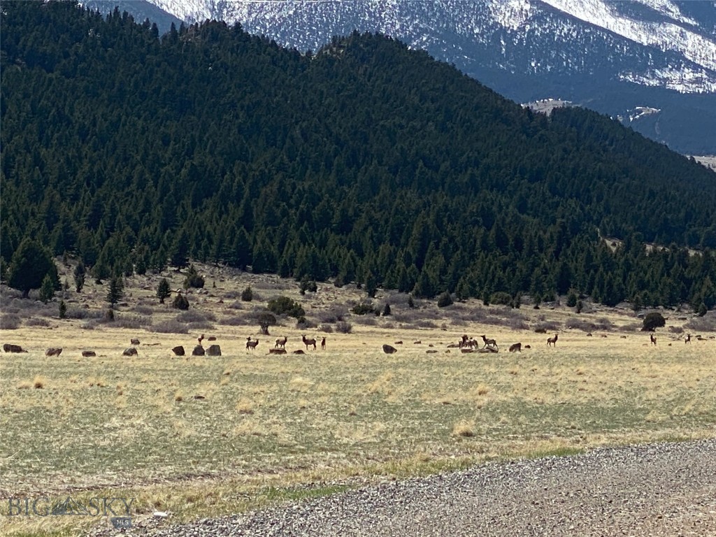 TBD Heritage Trail, Livingston MT 59047